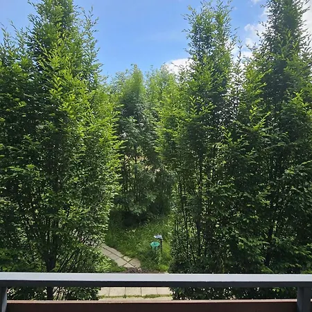 Blue Salt * 威利兹卡